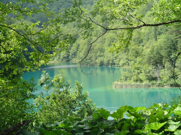 Zdjecie - Chorwacja - Plitvice