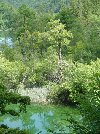 Zdjęcie z Chorwacji - 