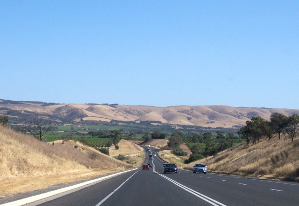 Zdjęcie z Australii - McLaren Vale