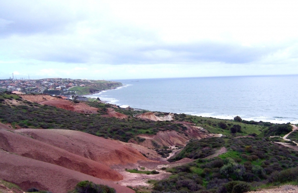 Zdjęcie z Australii - Rezerwat w Hallett Cove