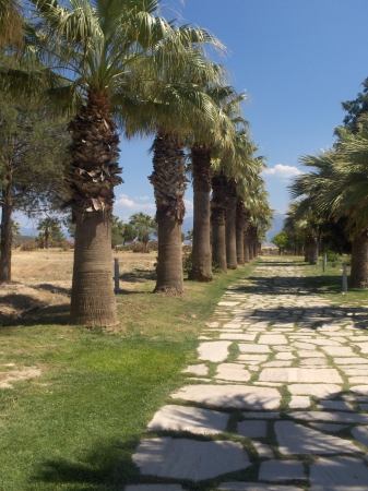 Zdjęcie z Turcji - Pamukkale