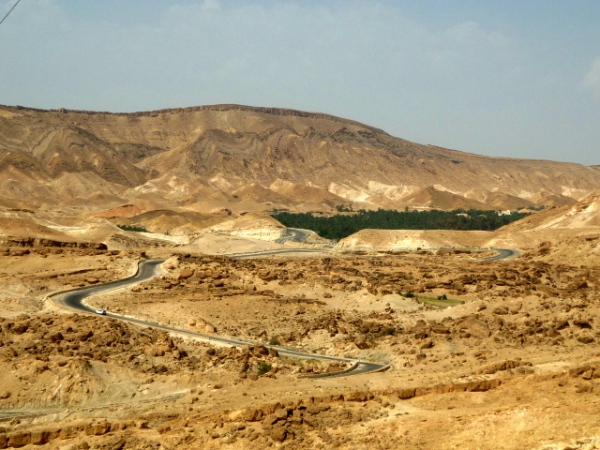 Zdjęcie z Tunezji - 