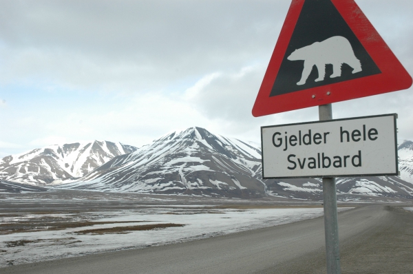 Zdjęcie z Norwegii - 