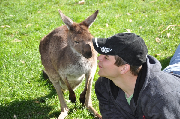 Zdjęcie z Australii - Buzi, buzi...