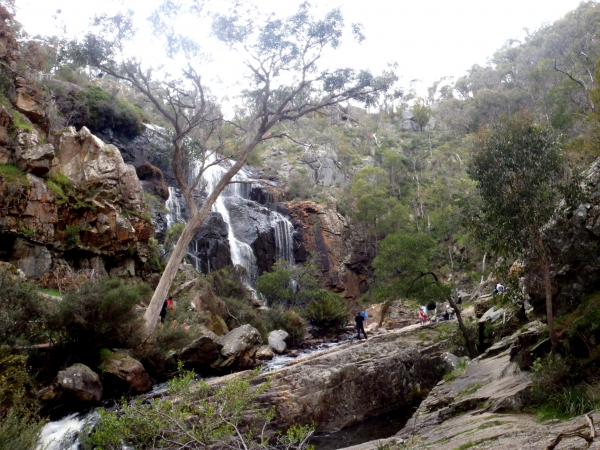 Zdjęcie z Australii - Wodospad McKenzie Falls