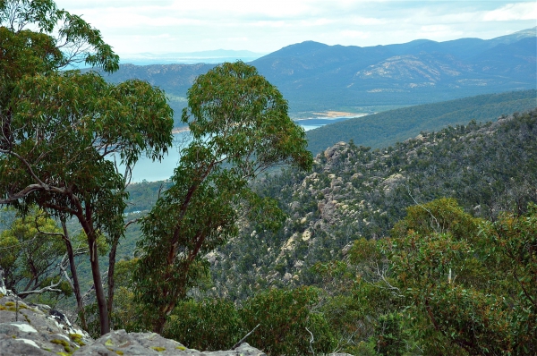 Zdjęcie z Australii - W drodze na Pinnacles