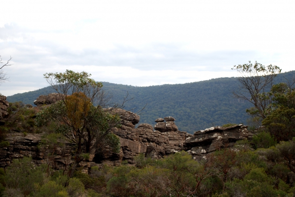 Zdjęcie z Australii - Grampianskie klimaty