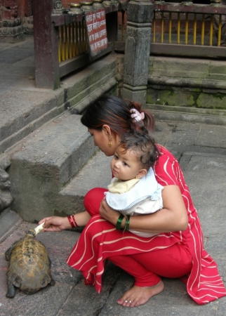 Zdjęcie z Nepalu - 