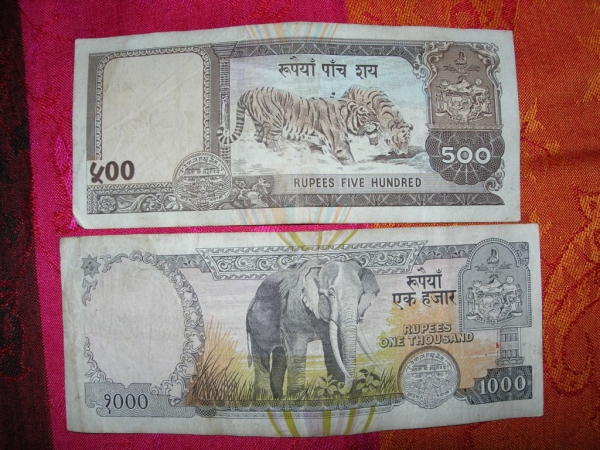 Zdjęcie z Nepalu - 
