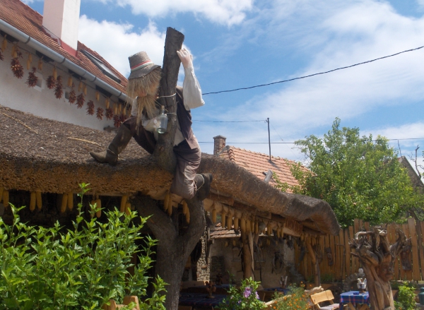 Zdjęcie z Węgier - Tihany