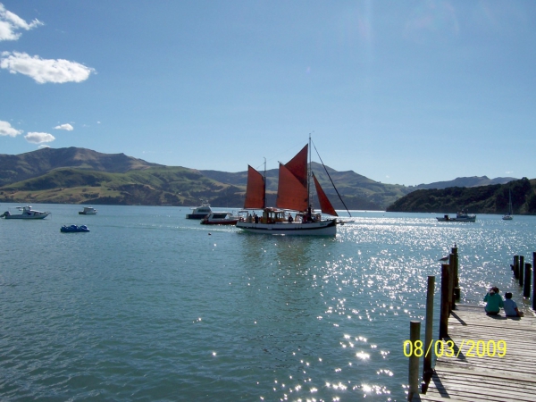 Zdjęcie z Nowej Zelandii - Akaroa