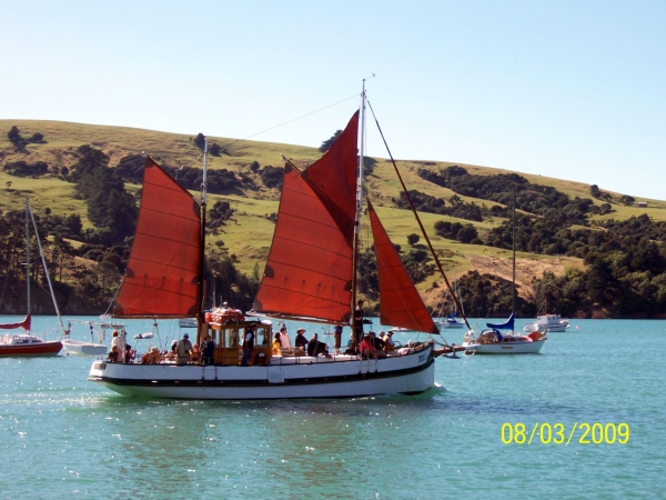 Zdjęcie z Nowej Zelandii - Akaroa