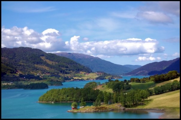 Zdjęcie z Norwegii - Olen