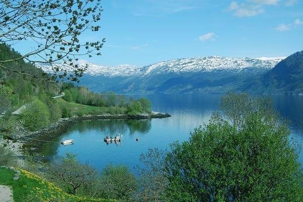 Zdjęcie z Norwegii - Hardangerfjord