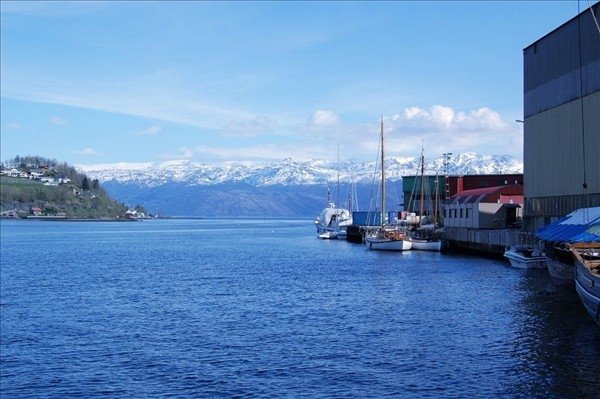 Zdjęcie z Norwegii - Hardangerfjord