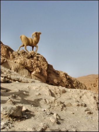 Zdjęcie z Tunezji - Tamerza mountain oasis