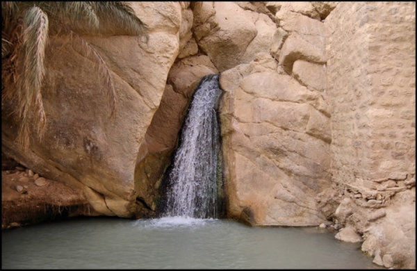 Zdjęcie z Tunezji - Tamerza mountain oasis