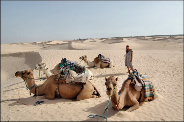 Zdjęcie z Tunezji - Sahara