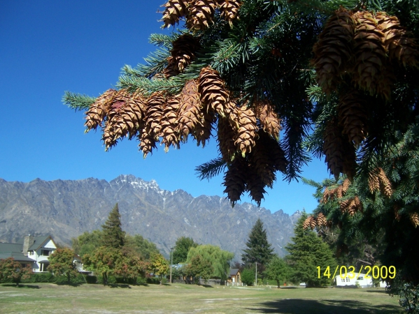 Zdjęcie z Nowej Zelandii - Obrazek z Queenstown