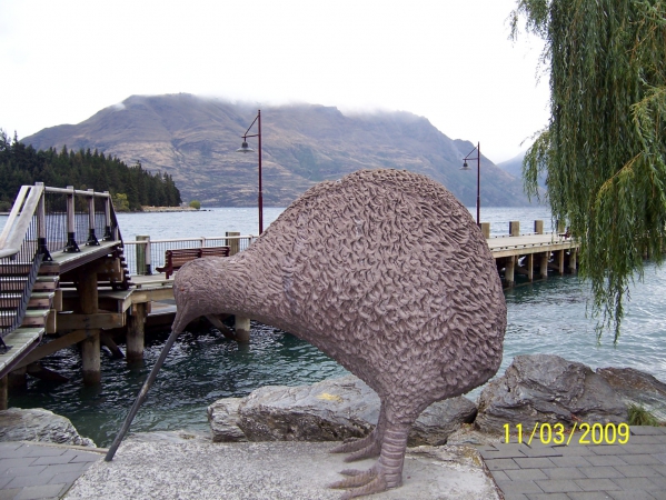 Zdjęcie z Nowej Zelandii - Kiwi nielot- symbol...