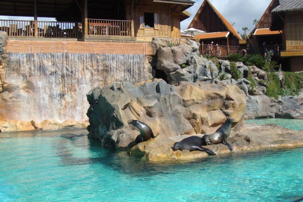 Zdjęcie z Hiszpanii - Siam Park