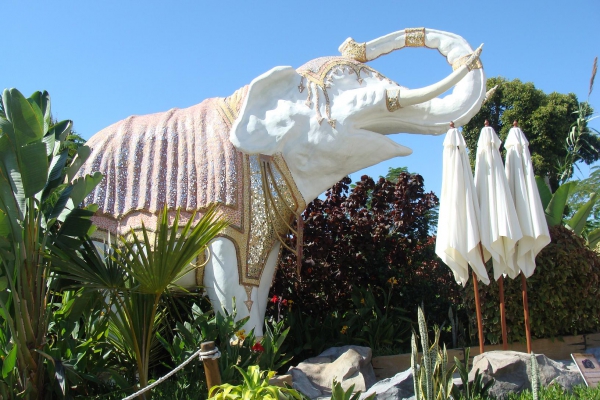 Zdjęcie z Hiszpanii - Siam Park