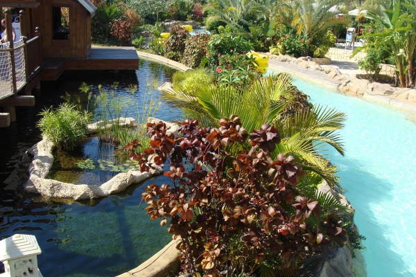 Zdjęcie z Hiszpanii - Siam Park
