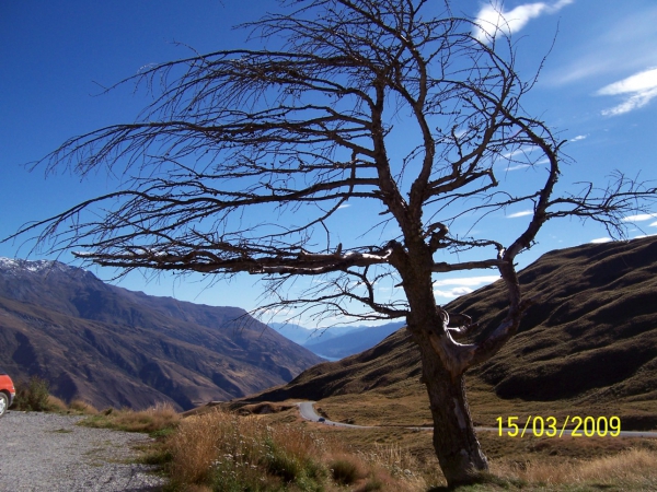 Zdjęcie z Nowej Zelandii - W drodze do Wanaka...