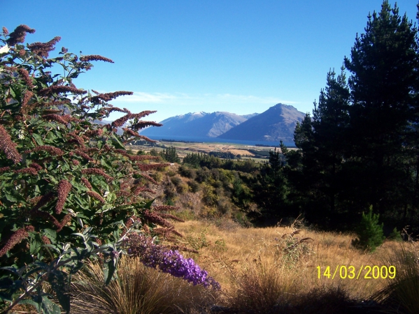 Zdjęcie z Nowej Zelandii - Okolice Queenstown