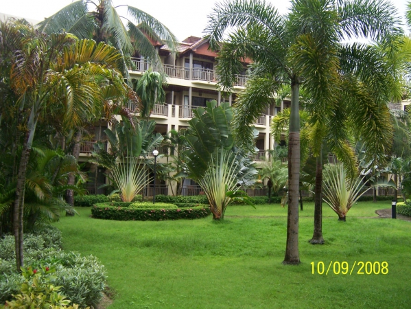 Zdjęcie z Tajlandii - Hotel Merlin Beach Resort