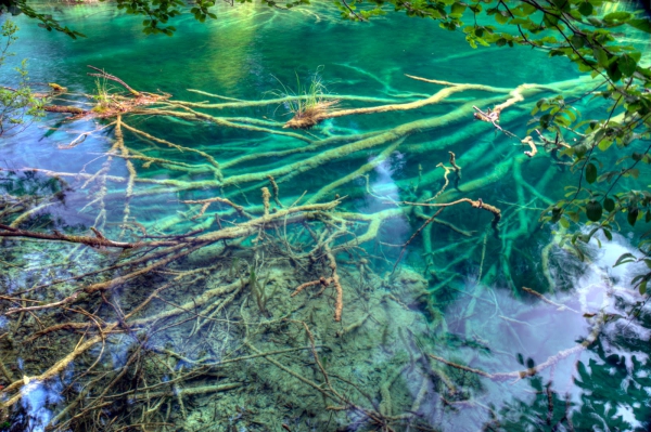 Zdjęcie z Chorwacji - Plitvice