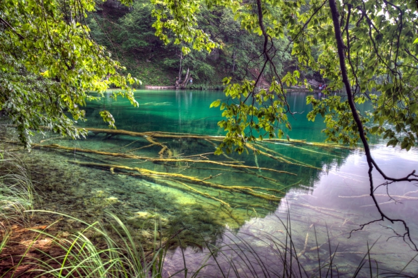 Zdjęcie z Chorwacji - Plitvice