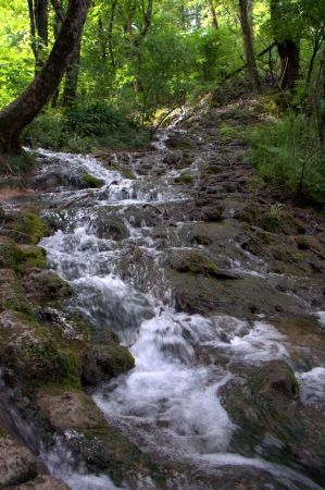 Zdjęcie z Chorwacji - Plitvice