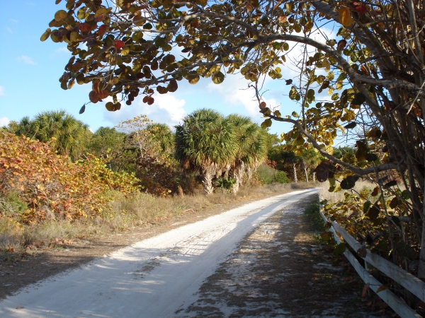 Zdjęcie ze Stanów Zjednoczonych - Key Biscayne