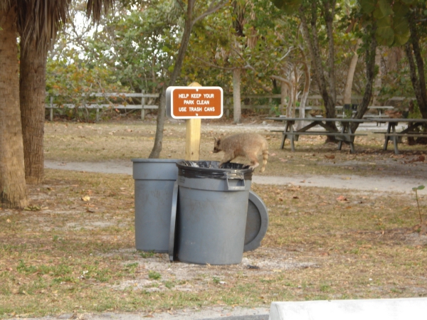 Zdjęcie ze Stanów Zjednoczonych - Key Biscayne