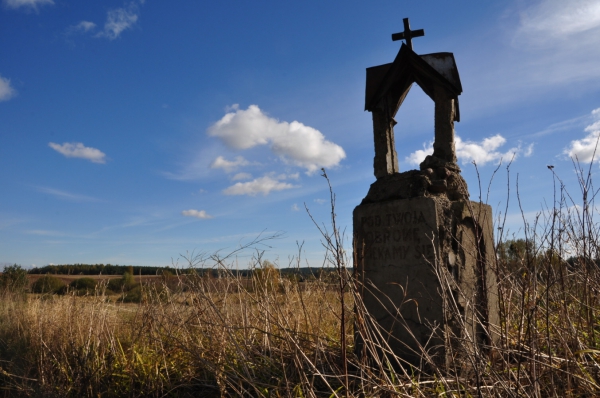 Zdjęcie z Polski - kapliczka na polu 