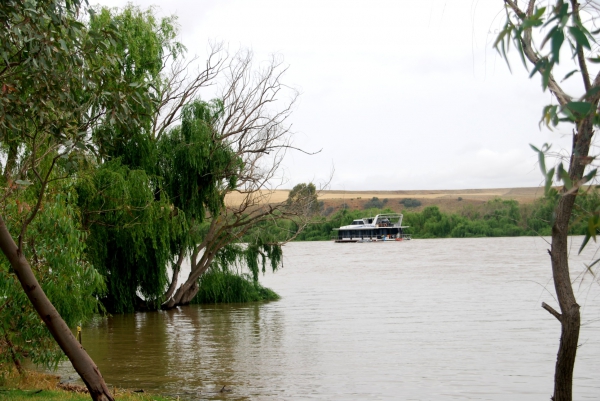 Zdjęcie z Australii - Rzeka Murray a na niej...