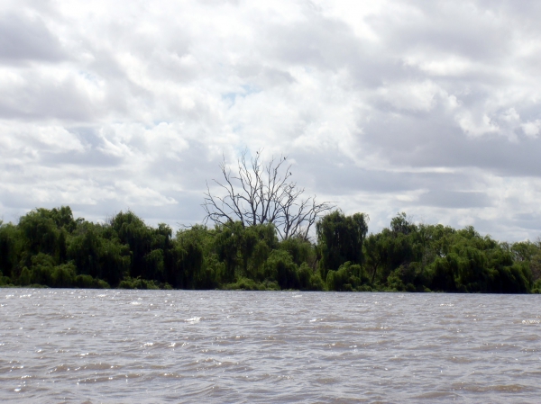 Zdjęcie z Australii - Rzeka Murray River