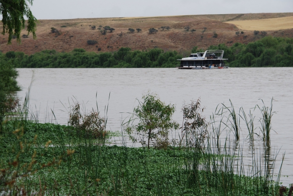 Zdjęcie z Australii - Brzegi Murray River