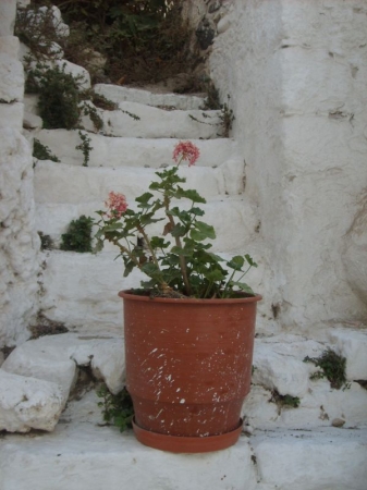 Zdjęcie z Grecji - Nisyros