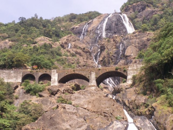 Zdjęcie z Indii - Mollem National Park