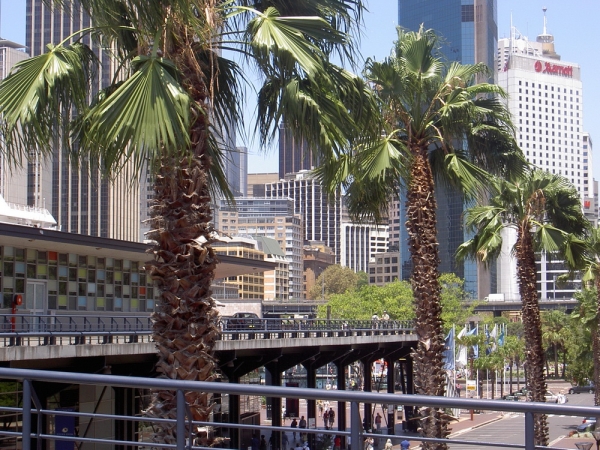 Zdjęcie z Australii - Sydney