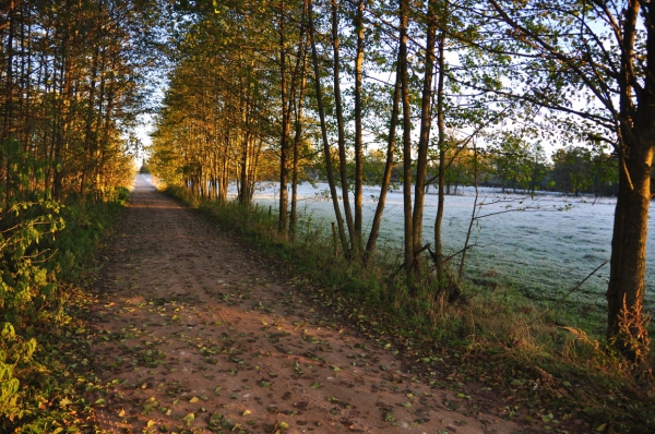 Zdjęcie z Polski - Mroźny poranek - Podlasie