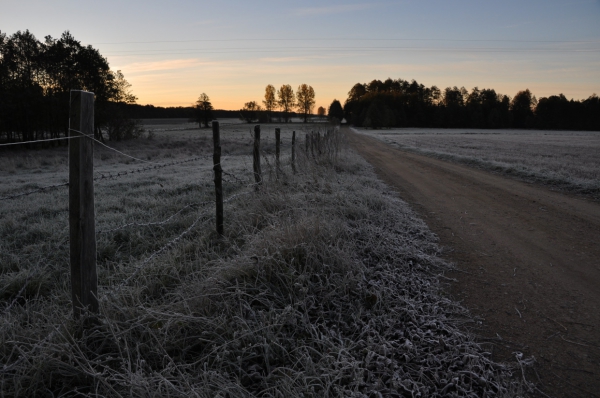 Zdjęcie z Polski - Mroźny poranek - Podlasie