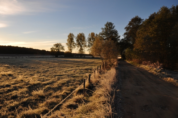 Zdjęcie z Polski - Mroźny poranek - Podlasie