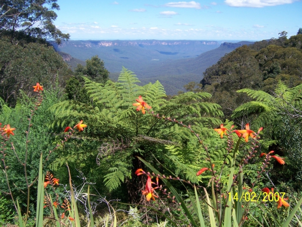Zdjęcie z Australii - Panorama Blue Mountains