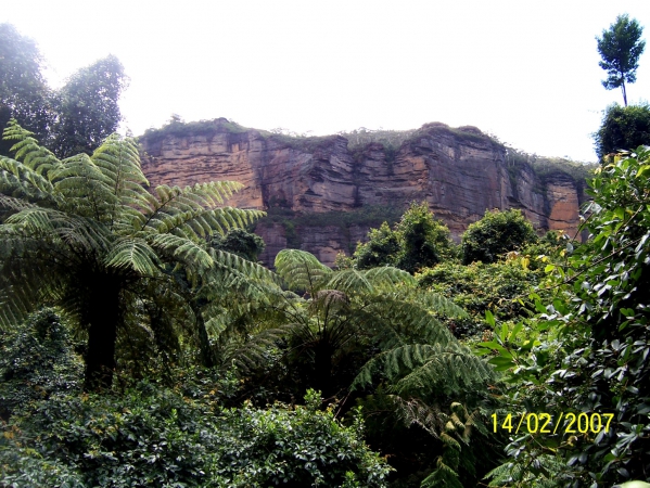 Zdjęcie z Australii - W dolinie Jamison Valley