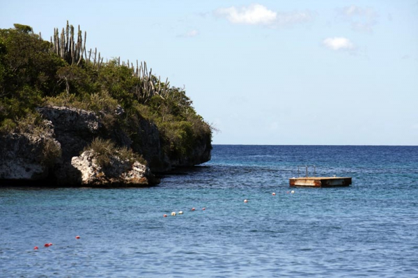 Zdjęcie z Dominikany - ISLA CATALINA