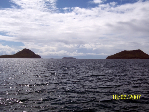 Zdjęcie z Australii - Rejs po Port Stephens