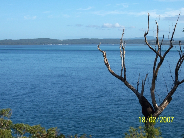 Zdjęcie z Australii - Widok na Nelson Bay